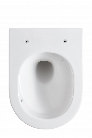 Подвесной унитаз безободковый Terminus Аврора Монолит 495х360 белый Керчь - фото 5