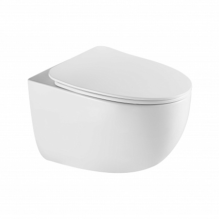 Подвесной унитаз безободковый Terminus Енисей Монолит 560х390 белый Керчь - фото 2