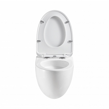 Подвесной унитаз безободковый Terminus Енисей Монолит 560х390 белый Керчь - фото 5