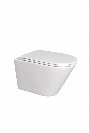 Подвесной унитаз безободковый Terminus Классик 540х365 белый Керчь - фото 5 Подвесной унитаз безободковый Terminus Классик 540х365 белый Керчь - фото 5