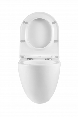 Подвесной унитаз безободковый Terminus Аврора Монолит 495х360 белый Керчь - фото 7